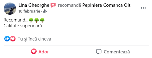 review-1-pepiniera-comanca.png