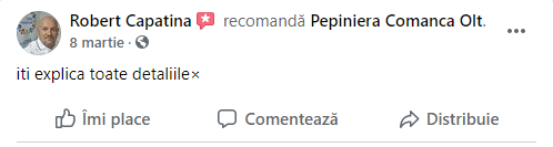 review-4-pepiniera-comanca.png